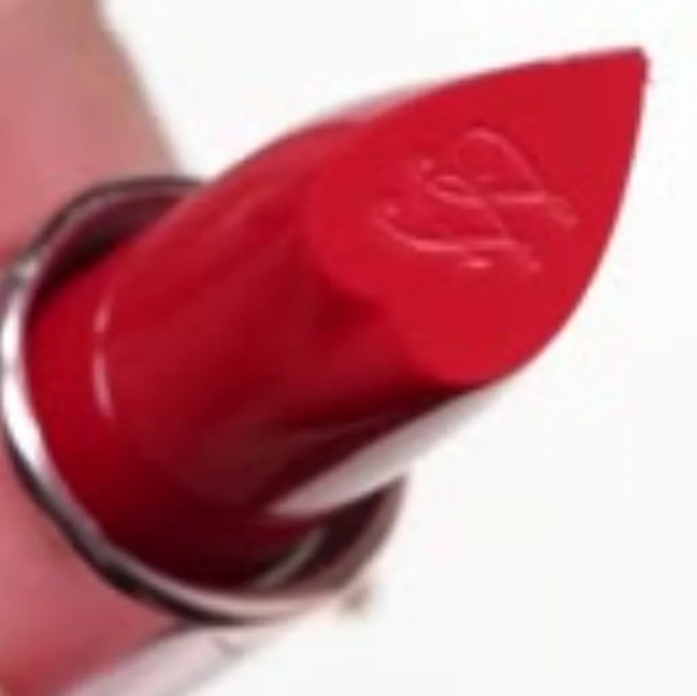 🧚‍♀️LADY BOLD Too Faced Lady Bold Em-Power Pigment Lipstick NWT